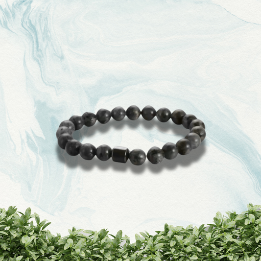 SobriBracelet CA(EN)